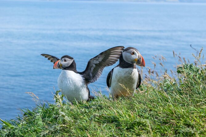 1 Day Moray Coast Tour with Speyside Whisky from Inverness - Key things that make this tour worth your time