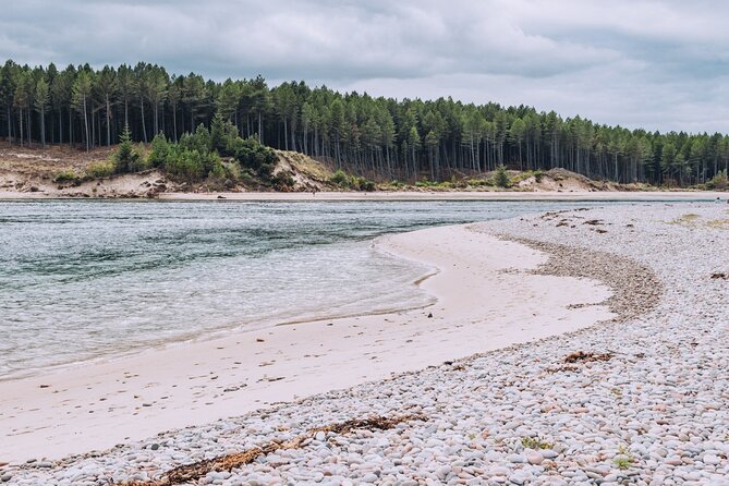 1 Day Moray Coast Tour with Speyside Whisky from Inverness - Troup Head nature reserve ideas, and the seasonal switch to Spey Bay and Aberlour