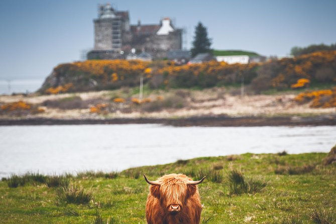 3-Day Isle of Mull and Iona Small-Group Tour from Glasgow - Optional Staffa and Fingal’s Cave: Nature’s cathedral if the weather cooperates