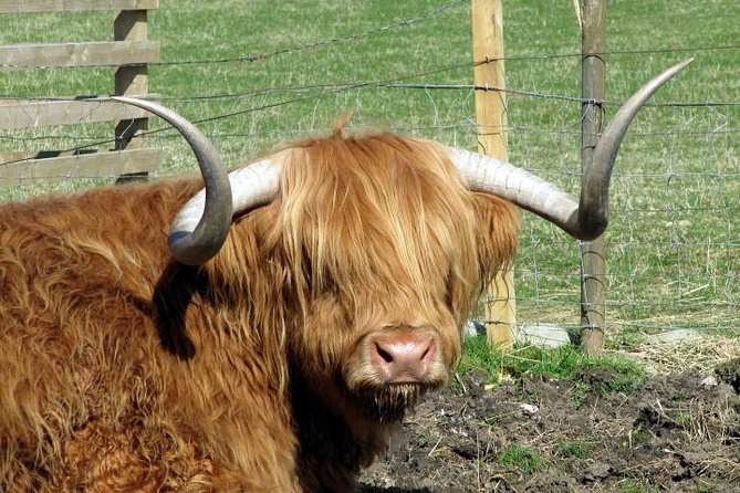 3-Day Isle of Skye and Highlands Tour from Glasgow - Why this Glasgow to Skye loop works for first-timers