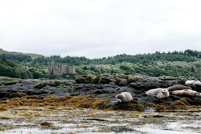 3-Day Isle of Skye, 'Hogwarts Express' Train and Highlands Tour - Old Man of Storr and Kilt Rock: big drama in short stops