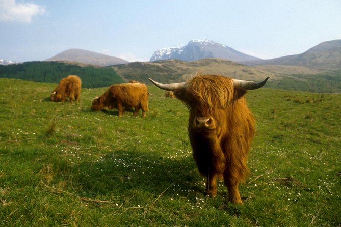 3-Day Isle of Skye, 'Hogwarts Express' Train and Highlands Tour - Dunvegan Castle and Gardens: clan legends and a long view