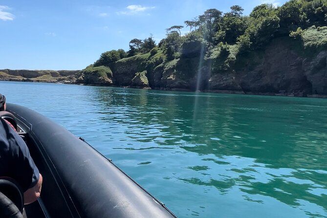 90 Minute Coastal Explorer in Torquay - Stop 3, Thatcher Rock for seabirds and seals