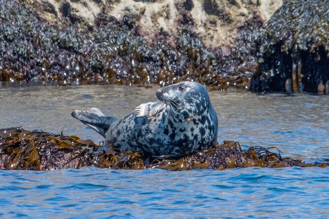 90 Minute Coastal Explorer in Torquay - What to wear and bring, plus who this tour suits (and who it does not)