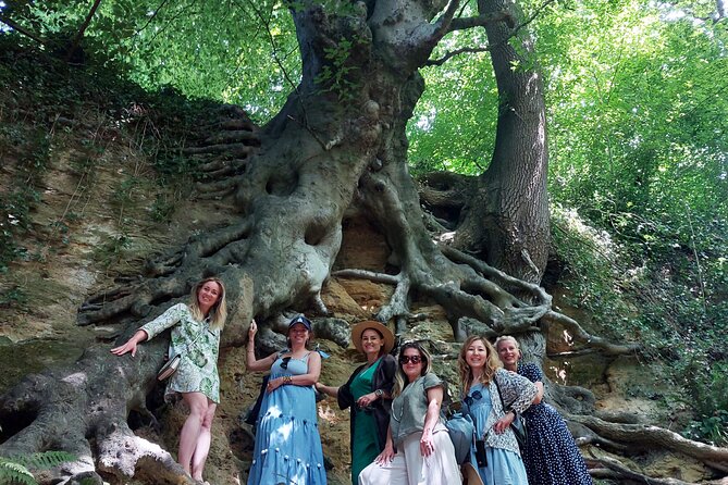 A Tour of Glastonbury, Guided by the Trees. - A Tree Themed Way to See Glastonbury (Not Just the Usual Stops)