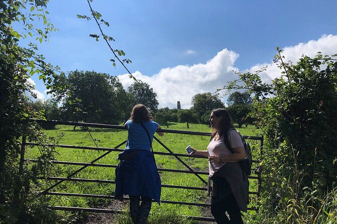 A Tour of Glastonbury, Guided by the Trees. - Well House Lane Springs and the White Spring Stop