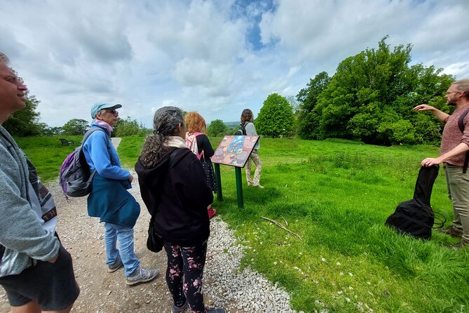A Tour of Glastonbury, Guided by the Trees. - The Optional Glastonbury Tor Climb and Avalons Horizon