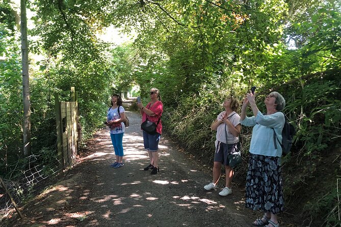 A Tour of Glastonbury, Guided by the Trees. - Music and Poetry: Why This Tour Feels Different