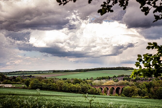 Admission Pass to Eagle Heights in Kent - Eagle Heights Wildlife Foundation Above the Darent Valley