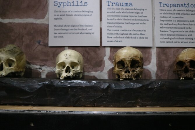 Admission Ticket to Sick To Death in Chester - Price and time in Chester: why it is good value for most visits