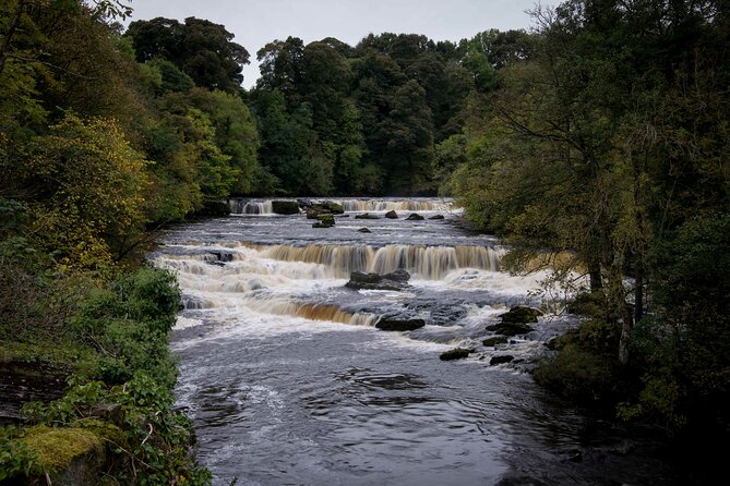 All Creatures Great & Small tour from York - Yorkshire Dales National Park: Film Locations, Big Drives, and the Day’s Main Stretch