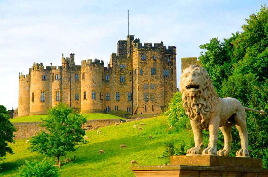Alnwick: Alnwick Castle Ticket - Food, coffee breaks, and keeping the day from turning into chaos
