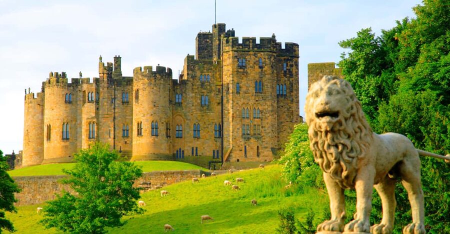 Alnwick: Alnwick Castle Ticket - State Rooms and private art: the moment you understand why it matters