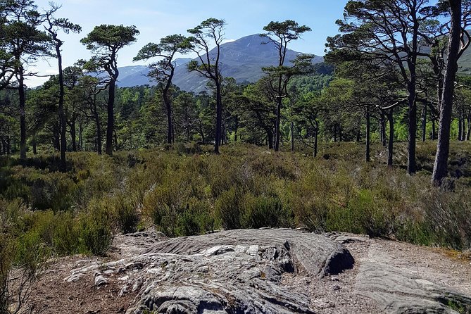 Alternative Loch Ness Tour by Secret Highlands - A One-Day Highland Circuit From Inverness, Not a Marathon
