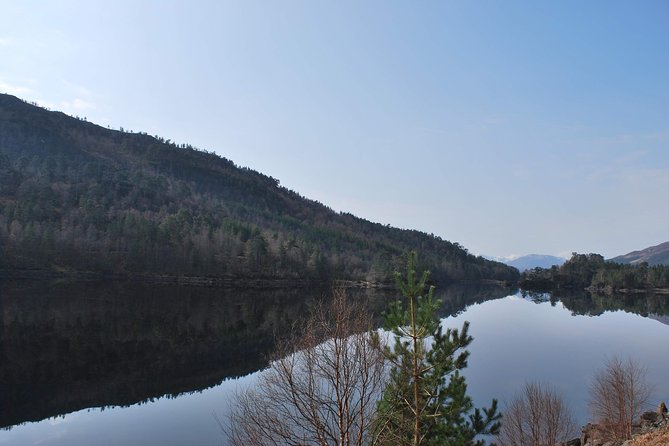 Alternative Loch Ness Tour by Secret Highlands - Glen Affric National Nature Reserve: Pines, Deer Chances, and a River Walk