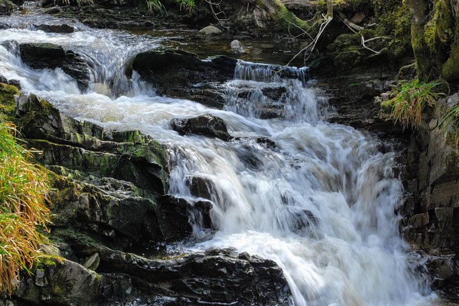 Alternative Loch Ness Tour by Secret Highlands - Beauly Village and Beauly Priory: A Ruined Stop With Local Flavor