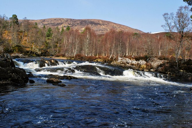 Alternative Loch Ness Tour by Secret Highlands - Price and Value: What $376.86 Buys You