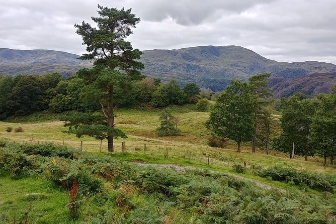 Beatrix Potter: Morning Half Day with an Expert Guide - includes entrance fees - Tarn Hows and Coniston Water: the fast photo breaks that work