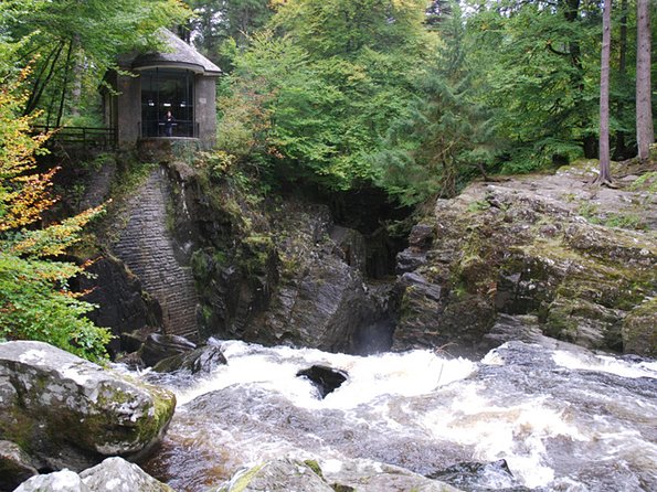 Best of Scotland in a Day Very Small Group Tour from Edinburgh - Stop 4: The Hermitage riverside walk, tall trees and the waterfall viewpoint