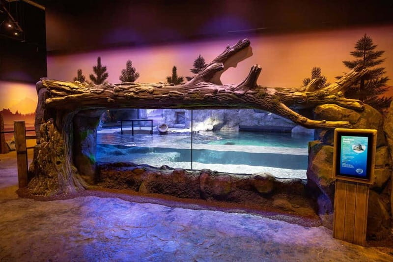 Birmingham: National Sea Life Centre Entrance Ticket - Key highlights worth planning for