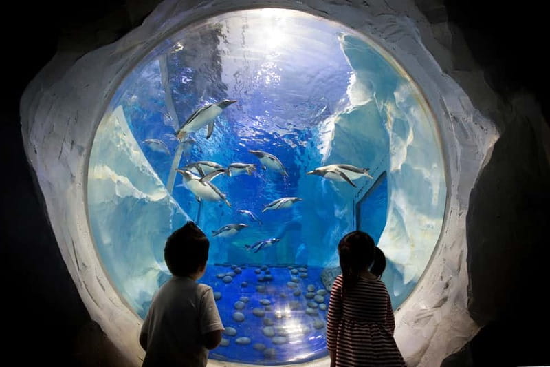 Birmingham: National Sea Life Centre Entrance Ticket - A simple game plan that keeps the day fun
