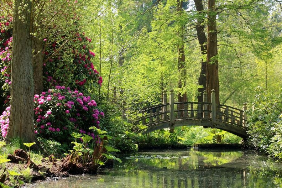 Birmingham: Winterbourne House and Garden Admission Ticket - The Garden Walk: Over 6,000 Plant Species to Wander Through