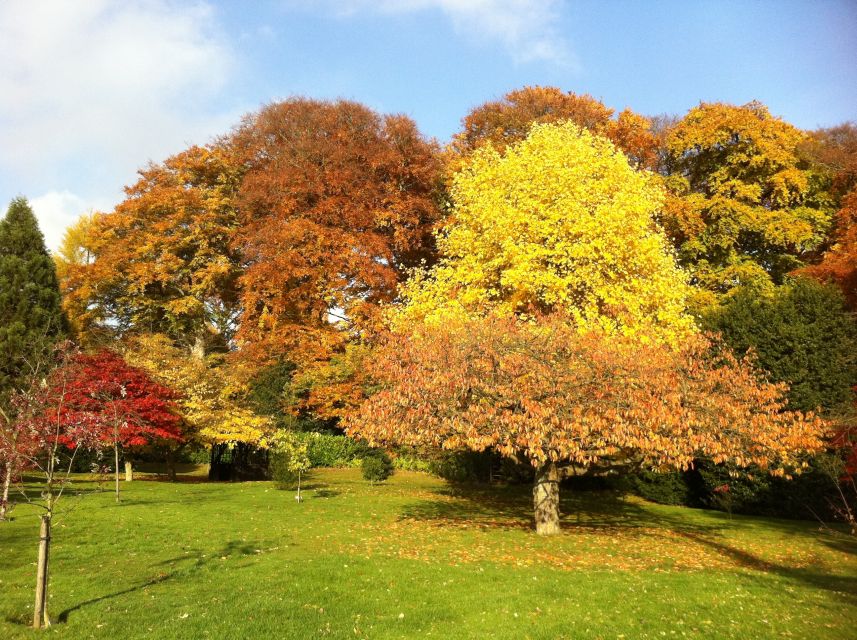 Birmingham: Winterbourne House and Garden Admission Ticket - Timed House Entry: How to Plan Your Visit Rhythm