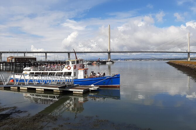 Blackness Castle Cruise - Wildlife on the Firth: what you can realistically spot