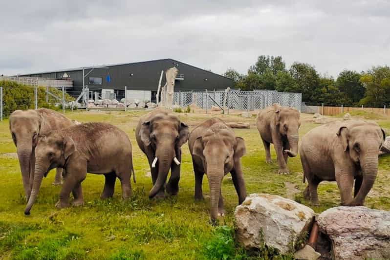 Blackpool: Zoo Admission Ticket - How the Zoo Layout Shapes Your Whole Day on 37 Acres
