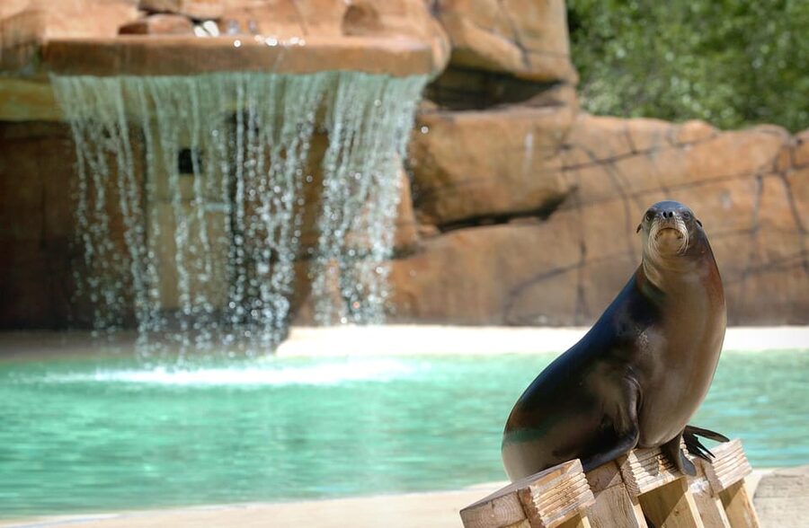 Blackpool: Zoo Admission Ticket - Walk-Through Enclosures: Where Up Close Actually Feels Up Close