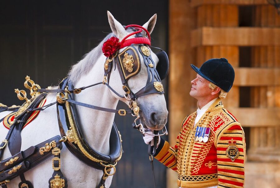 Buckingham Palace: The Royal Mews Entrance Ticket - The Coaches on Display: Diamond Jubilee, Gold, and More