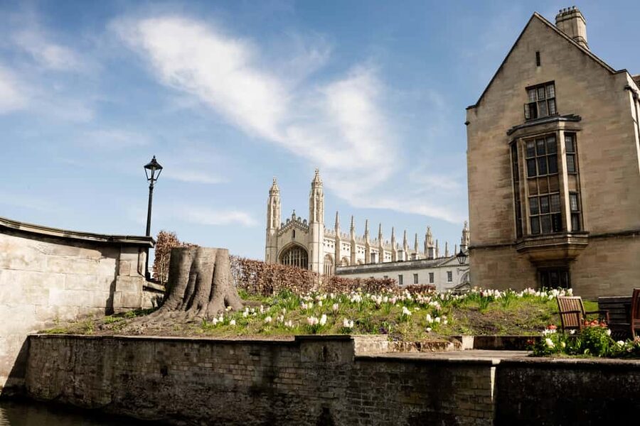 Cambridge: Punting Tour on the River Cam - Key Highlights Worth Your Time