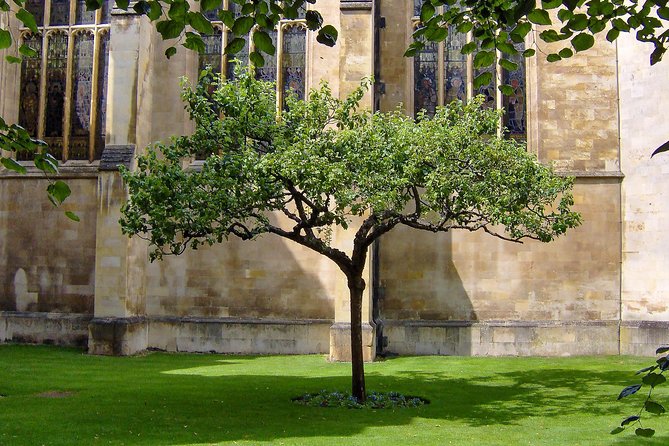 Cambridge: University Walking Tour - Senate House and the Central Squares You Can Actually Navigate