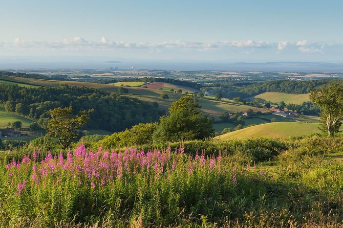 Canterbury & the White Cliffs of Dover Tour (Small-Group) - Deal, Kent: The Seaside Break With a Mini-Brighton Feel