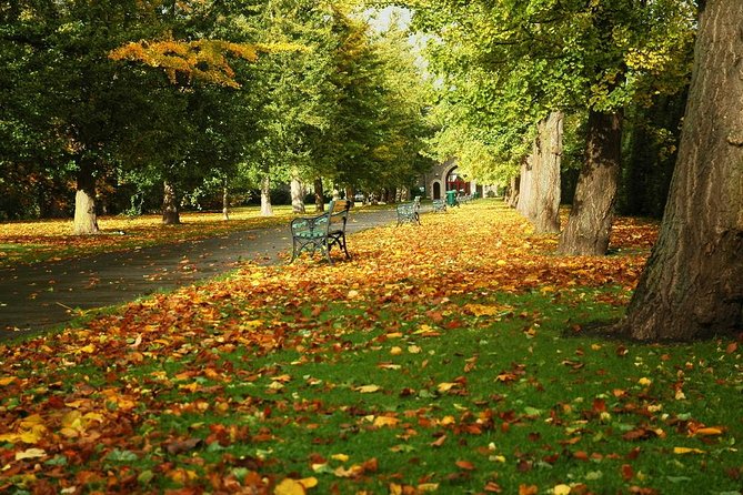 Cardiff Day Tour from London with Local Guide (Visit Wales) - Cardiff Castle, the included hour: what you’re really paying for