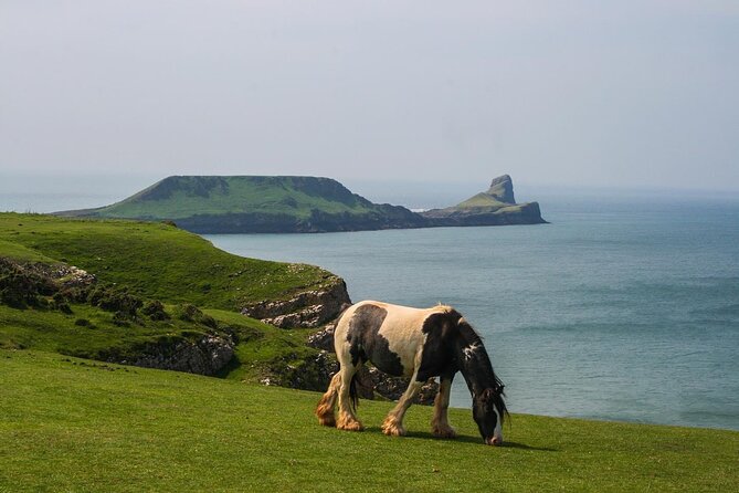 Cardiff: Gower Peninsula's Cliffs Scenic Day Tour - Why the Cardiff to Gower routing feels smart