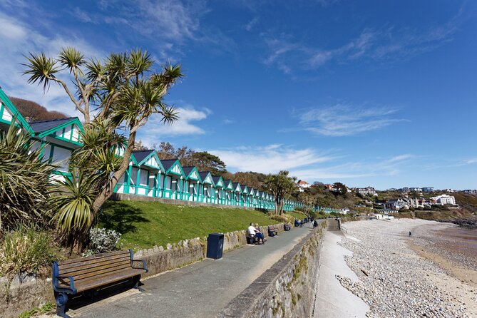 Cardiff: Gower Peninsula's Cliffs Scenic Day Tour - How active is this tour, really?