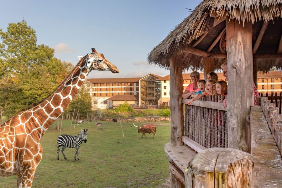 Chessington World of Adventures Resort: Entrance Ticket - Gruffalo World Rides for Kids and Grown-Ups