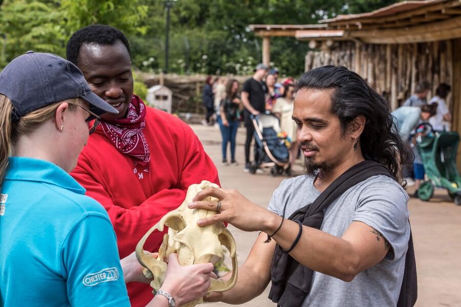 Chester: Chester Zoo Entry Ticket - Family fun beyond animals: adventure playgrounds, talks, and kid pacing