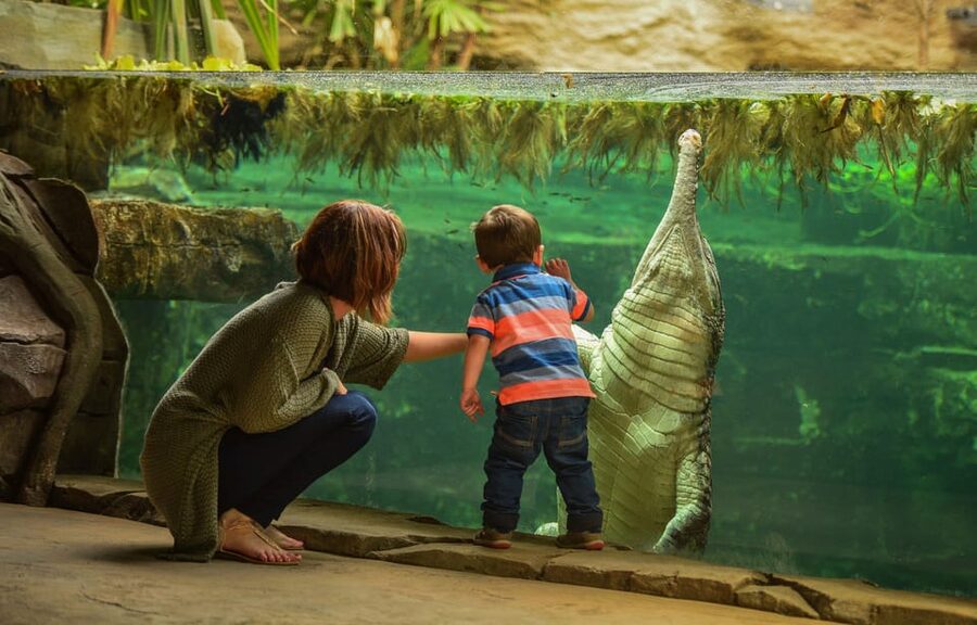 Chester: Chester Zoo Entry Ticket - Botanical gardens and indoor habitats: bats, butterflies, and weather-proofing your day