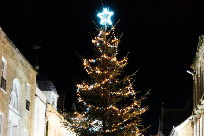 Christmas Mulled Wine Walk of Winchester - Stop 5: Winchester Cathedral in Its Christmas Lights