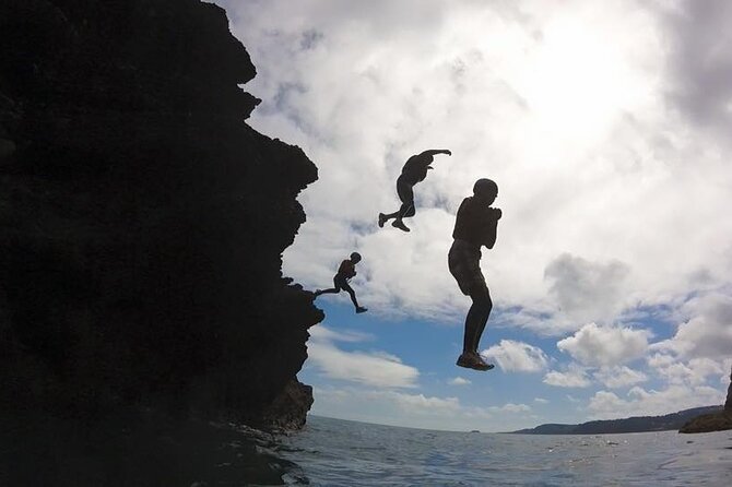 Coasteering Geopark Adventure In Torquay - Wildlife along the route: seals and that wow factor
