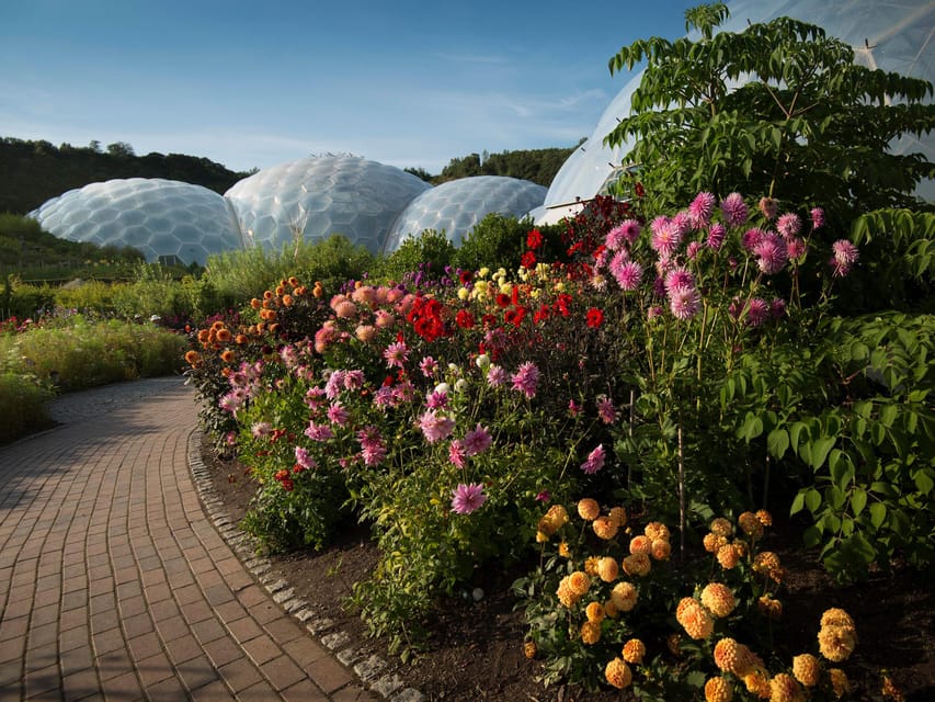 Cornwall: Eden Project Entry Ticket - The Main Event: Walking Into the World-Famous Biomes
