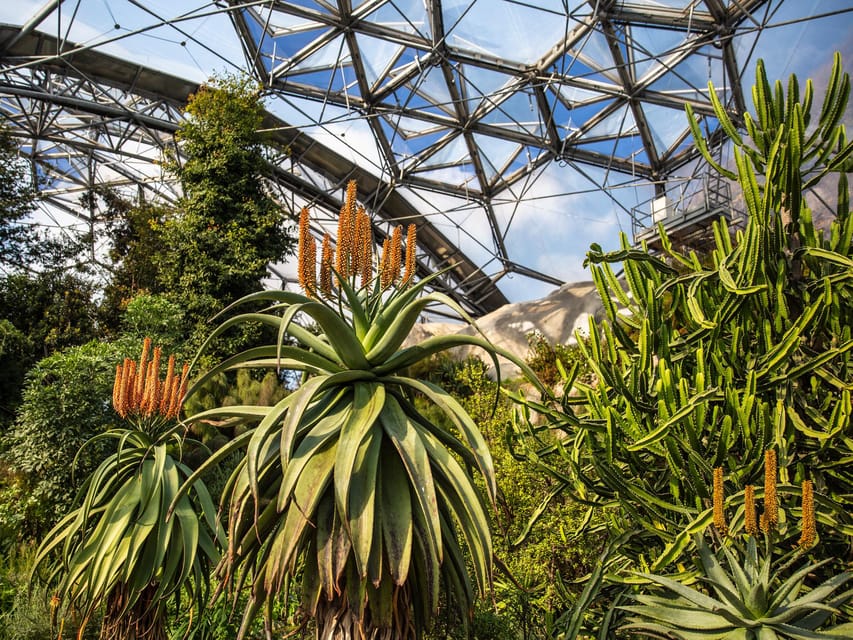 Cornwall: Eden Project Entry Ticket - Food, Toilets, and the Reality Check on Lines