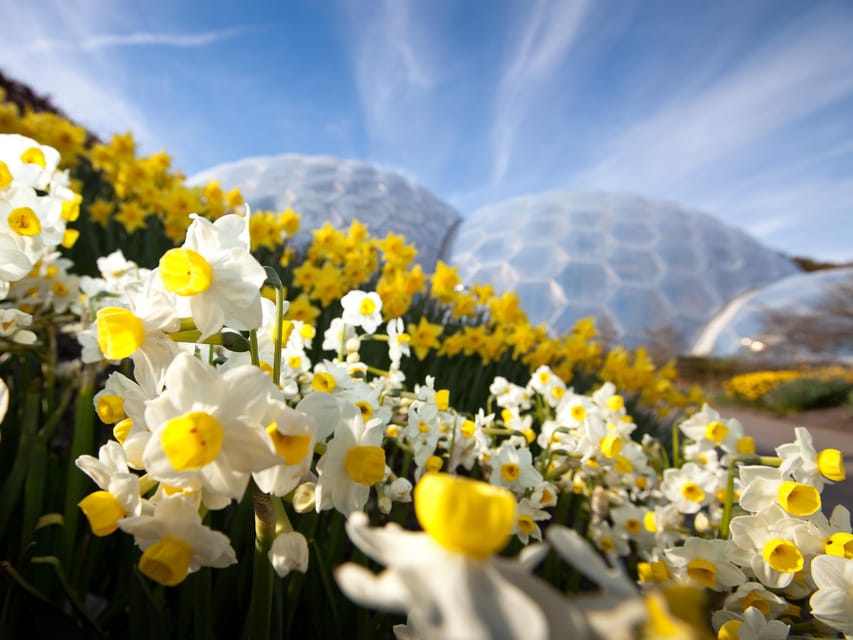 Cornwall: Eden Project Entry Ticket - What to Bring and How to Pace Your Day