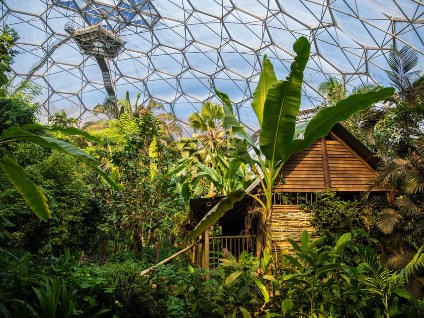 Cornwall: Eden Project Entry Ticket - Who This Experience Fits Best (and Who Might Want to Rethink It)