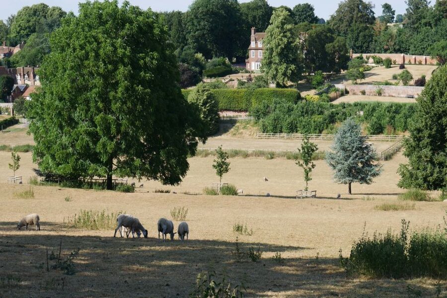 Day-Tour of the Midsomer Murders Locations - Weather, comfort, and what to pack from real-world experience