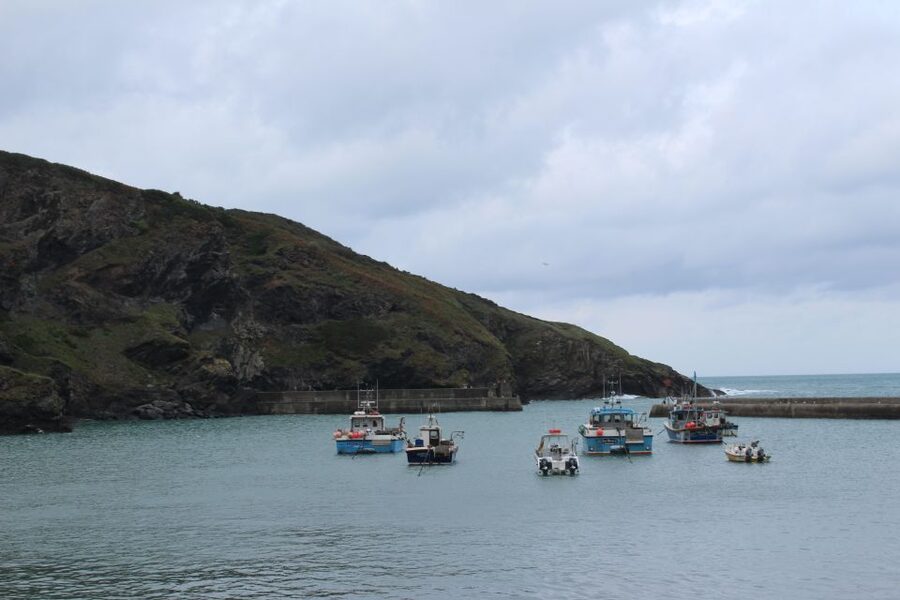 Doc Martin Tour - Key Things to Know Before You Go