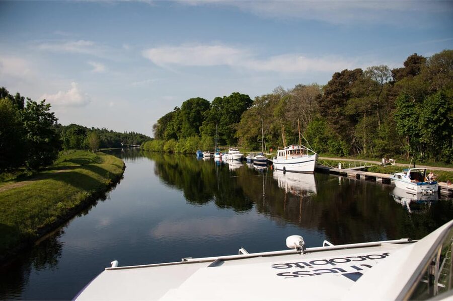 Dochgarroch: Caledonian Canal and Loch Ness 50min Cruise - Wildlife along the Caledonian Canal and River Ness