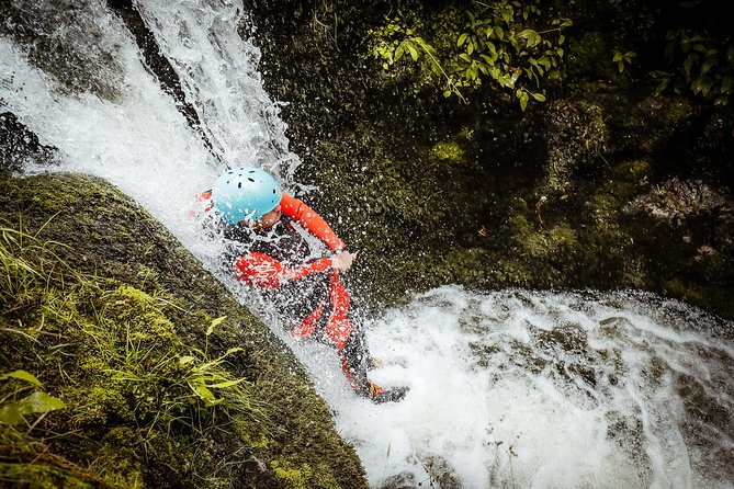 Dollar Falls Canyoning Trip - Key Highlights Worth Packing Into Your Day